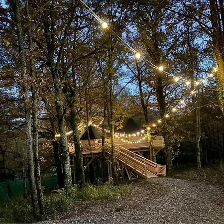 La Perchee Du Grand Chene Chalet